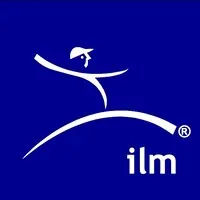 Instituto Lean Management