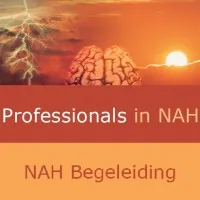 Professionals in NAH bv