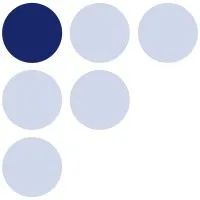 European Centre for Minority Issues (ECMI)