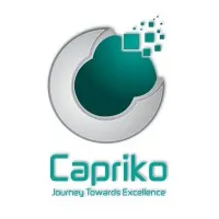 Capriko Smart Solutions Pvt. Ltd.