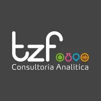 TZF Consultoria Analitica