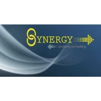 Synergy Projects Consulting (Pty) Ltd
