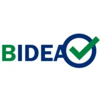 BIDEA Automotive