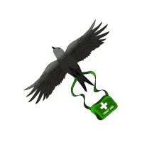 Swift First Aid Training