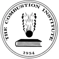 The Combustion Institute