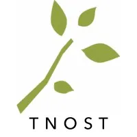 The Nature of Strategic Thinking