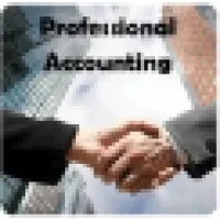 Professional Accounting