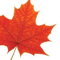 Prism Resources - Wilfrid Laurier University