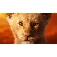 Comisión Nacional de Seguros y Fianzas