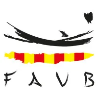 Federación Aragonesa Voleibol