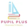 Pupil Plus