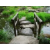 Stepping Stones Counselling
