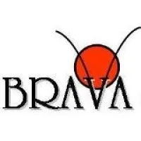 Brava Consultoria e Treinamento