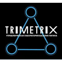 Trimetrix Solutions
