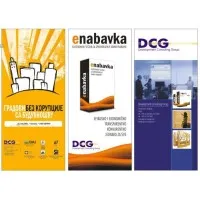 Development Consulting Group (DCG)