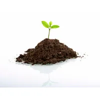 Emotional Freedom Techniques Online