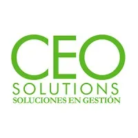 CEOSOLUTIONS.CL