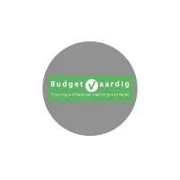 Budgetvaardig