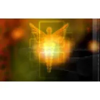 The American Institute of Health Care Professionals, Inc.