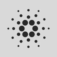 Cardano Foundation