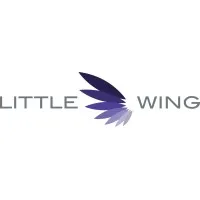 Little Wing