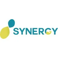 Synergy Consulting