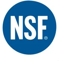 NSF PROSYSTEM GmbH
