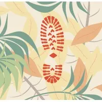 Bay Area Wilderness Training (BAWT)