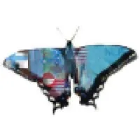 NLP & Coaching Institute