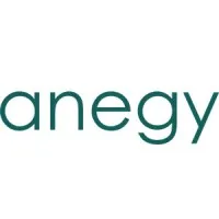 Anegy Digital Consulting