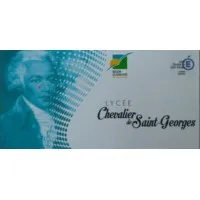 LYCEE POLYVALENT CHEVALIER DE SAINT GEORGES
