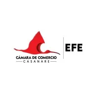 Escuela de Formación Empresarial EFE