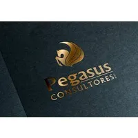 Pegasus Consultores S.A.C.
