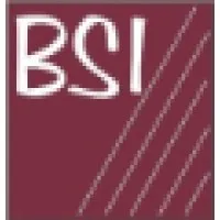 BSI (Business Systems, Inc.)