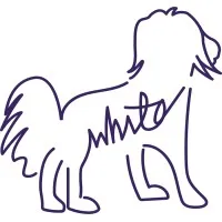 White Dog First Aid Ltd®