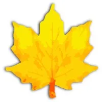 Prompt InfoTech Coimbatore