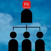 Primavera P6 Project Management