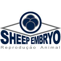 Sheep Embryo - Reprodução Animal