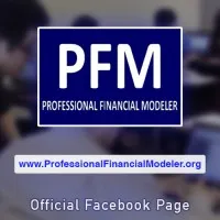 Professional Financial Modeler