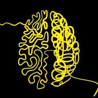 Narejo HR (Pvt) Ltd.