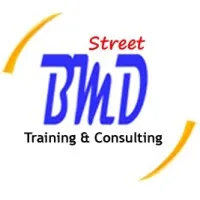 PT. Bisa Mandiri Strategi Investasi (BMD Group)