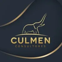 Culmen Consultores