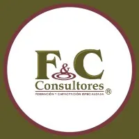 F&C CONSULTORES