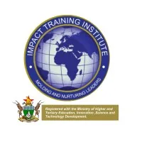 Impact Training Institute