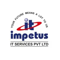 Impetus IT Services Pvt Ltd