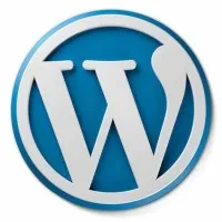 Wordpress Developer