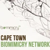 Cape Town Biomimicry Network