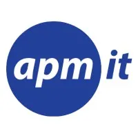APM IT Group