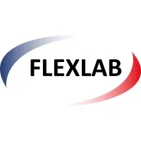 Flexlab Consultoria e Treinamento ltda.