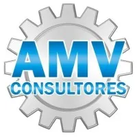 AMV CONSULTORES SAC